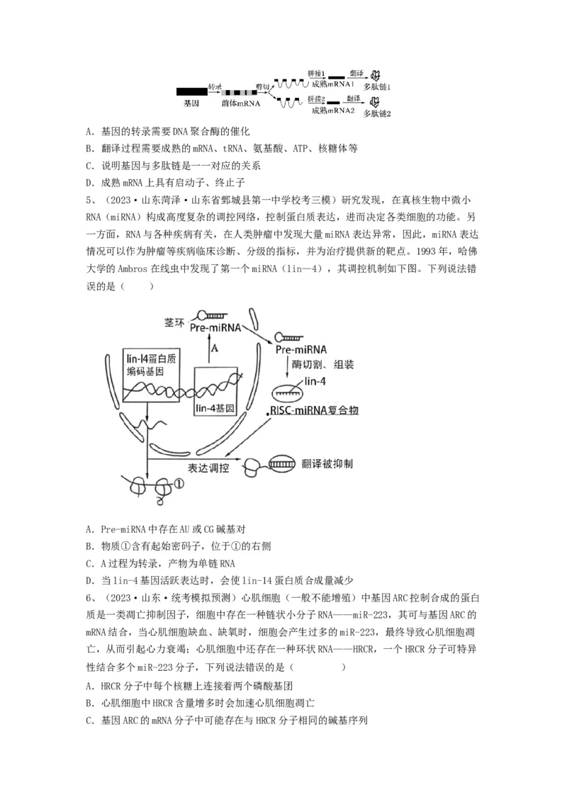 专题19基因的表达（精练）（原卷版）_2024年新高考资料_1.2024一轮复习_备战2024年高考生物一轮复习串讲精练（新高考专用）
