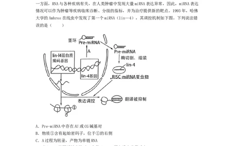 专题19基因的表达（精练）（原卷版）_2024年新高考资料_1.2024一轮复习_备战2024年高考生物一轮复习串讲精练（新高考专用）
