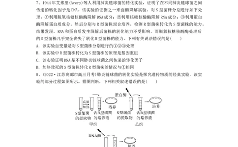 专题17DNA是主要的遗传物质（精练）（原卷版）_2024年新高考资料_1.2024一轮复习_备战2024年高考生物一轮复习串讲精练（新高考专用）