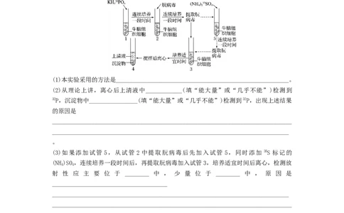 专题17DNA是主要的遗传物质（精练）（原卷版）_2024年新高考资料_1.2024一轮复习_备战2024年高考生物一轮复习串讲精练（新高考专用）