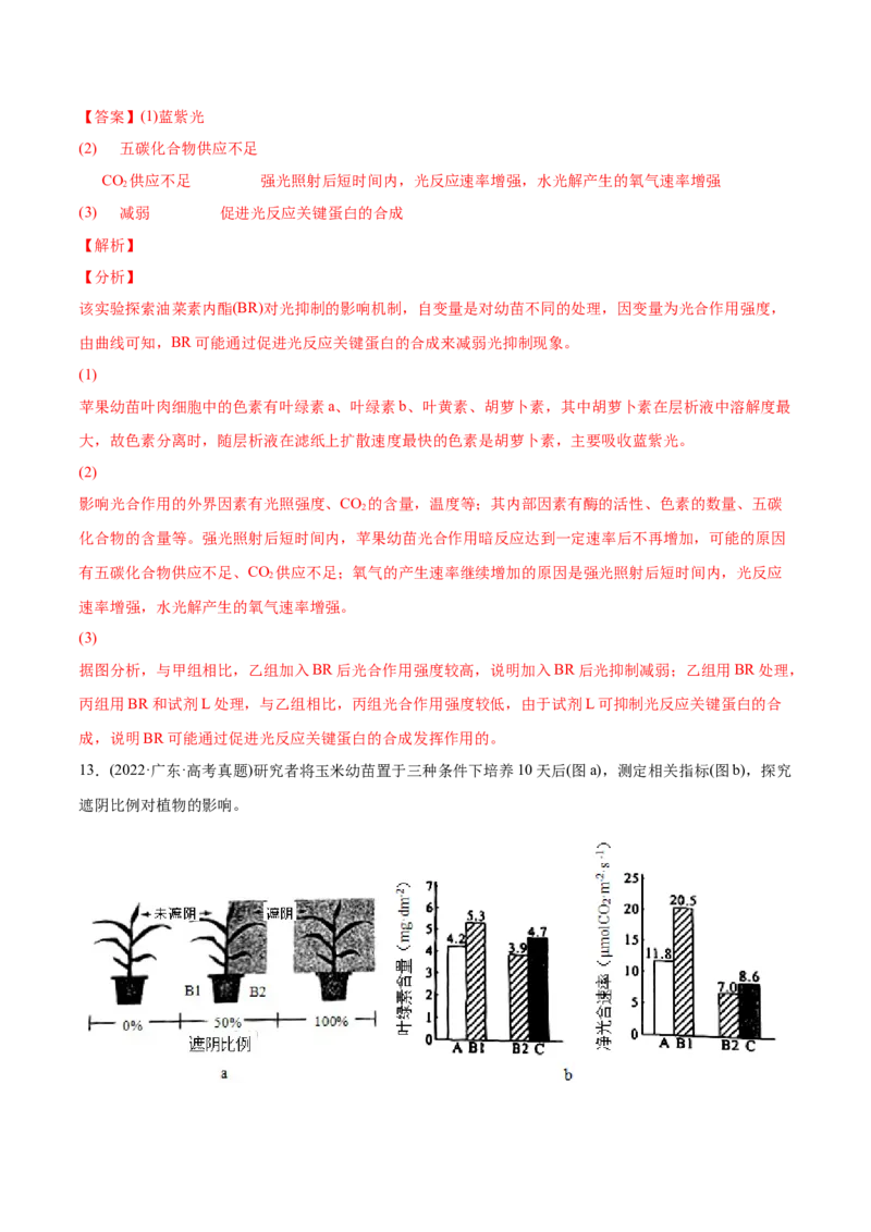 专题03光合作用和细胞呼吸-2022年高考真题和模拟题生物分专题训练（教师版含解析）_2024年新高考资料_1.2024一轮复习_赠2022年高考生物真题与模拟题分类