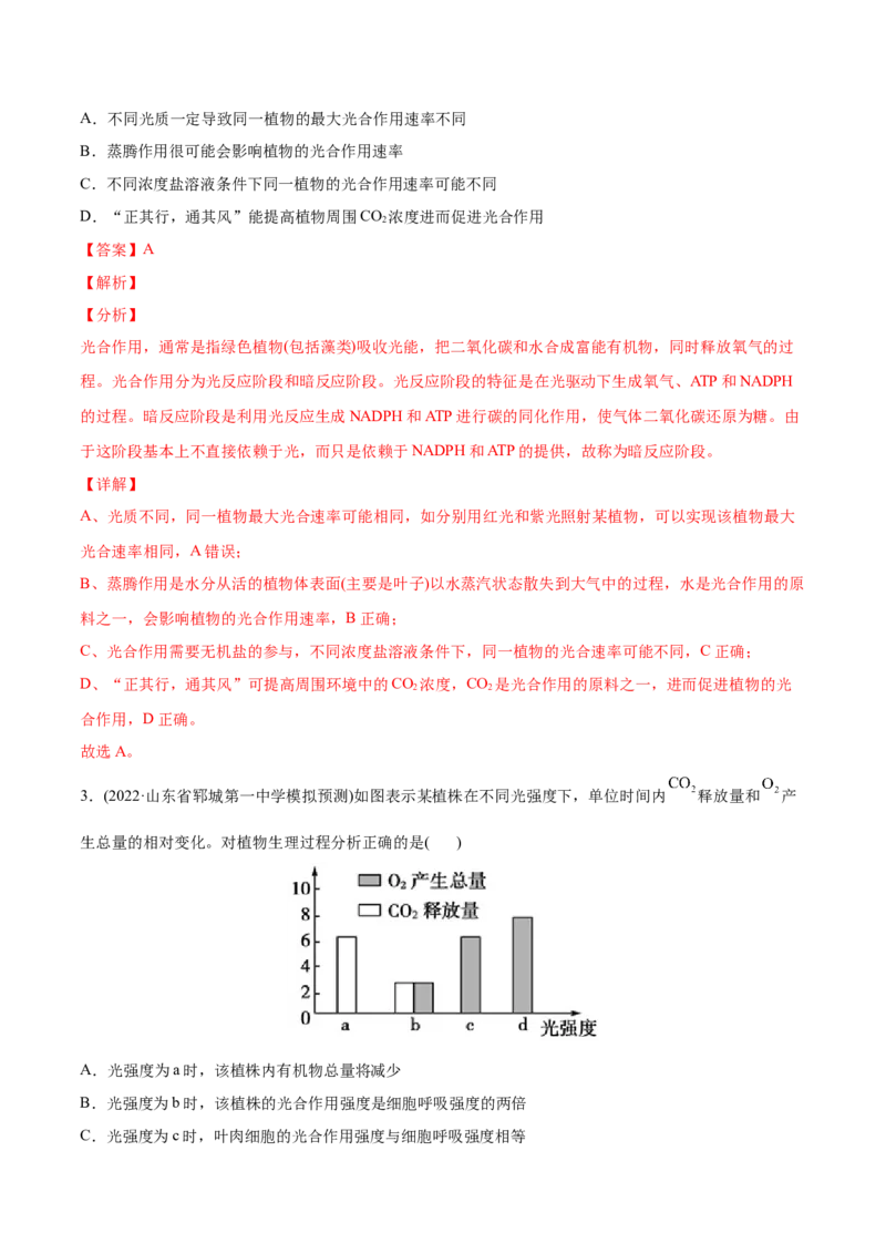 专题03光合作用和细胞呼吸-2022年高考真题和模拟题生物分专题训练（教师版含解析）_2024年新高考资料_1.2024一轮复习_赠2022年高考生物真题与模拟题分类
