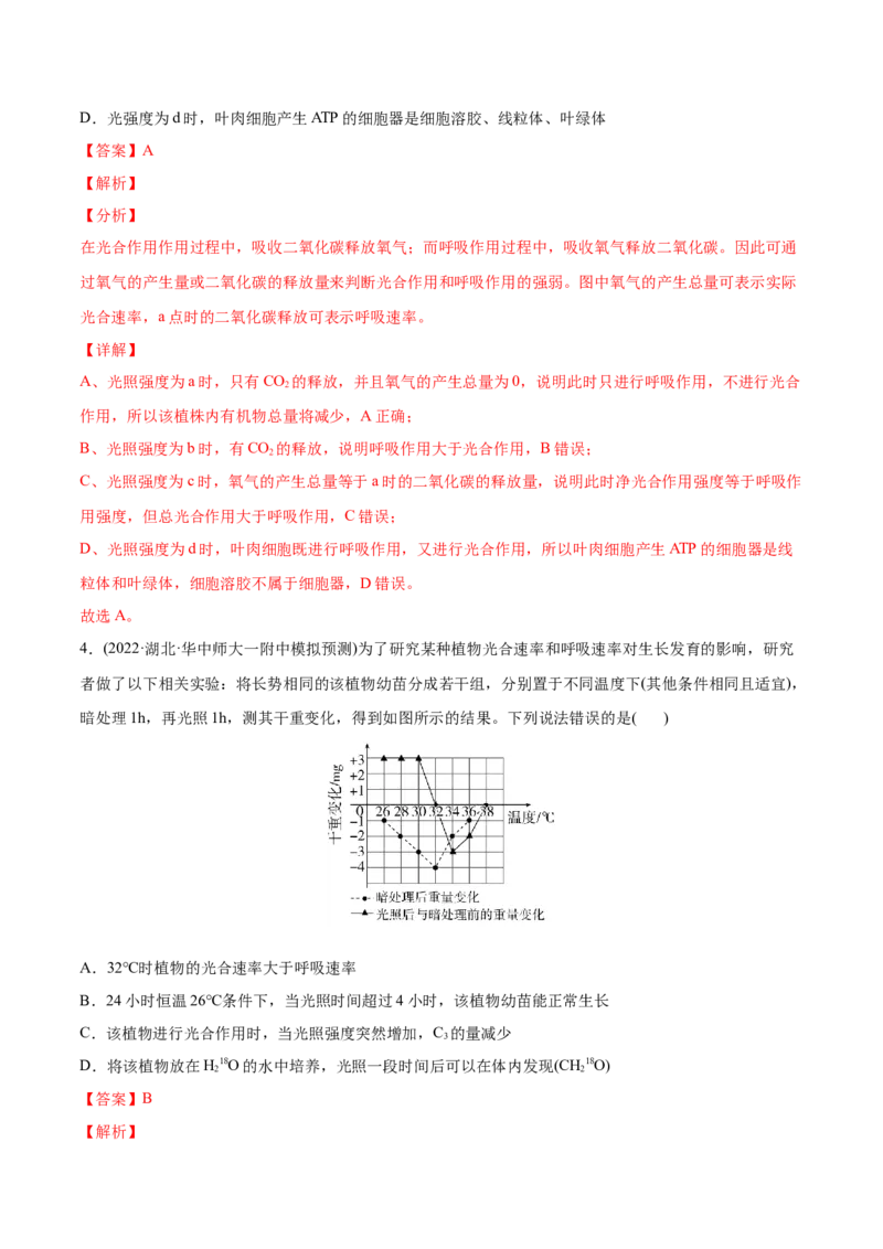 专题03光合作用和细胞呼吸-2022年高考真题和模拟题生物分专题训练（教师版含解析）_2024年新高考资料_1.2024一轮复习_赠2022年高考生物真题与模拟题分类
