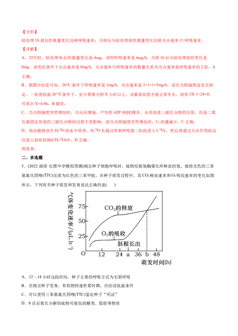 专题03光合作用和细胞呼吸-2022年高考真题和模拟题生物分专题训练（教师版含解析）_2024年新高考资料_1.2024一轮复习_赠2022年高考生物真题与模拟题分类