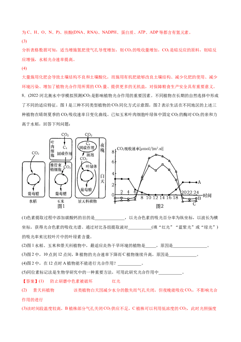 专题03光合作用和细胞呼吸-2022年高考真题和模拟题生物分专题训练（教师版含解析）_2024年新高考资料_1.2024一轮复习_赠2022年高考生物真题与模拟题分类
