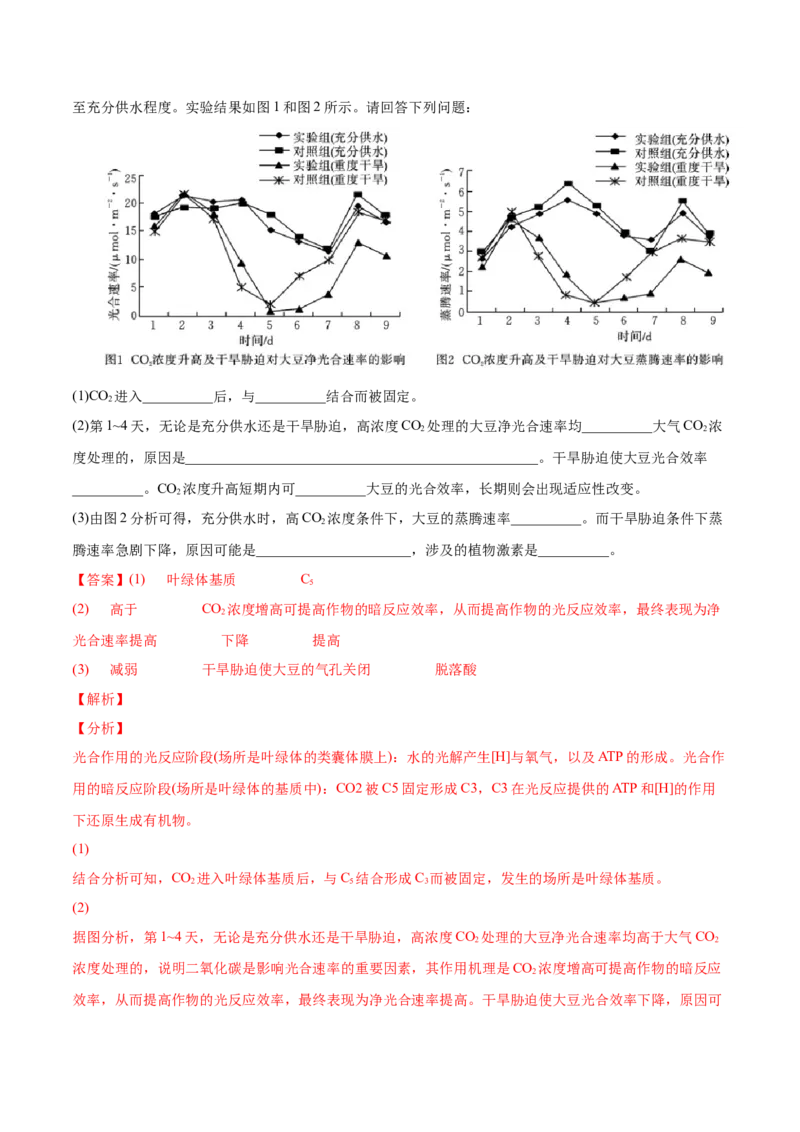 专题03光合作用和细胞呼吸-2022年高考真题和模拟题生物分专题训练（教师版含解析）_2024年新高考资料_1.2024一轮复习_赠2022年高考生物真题与模拟题分类