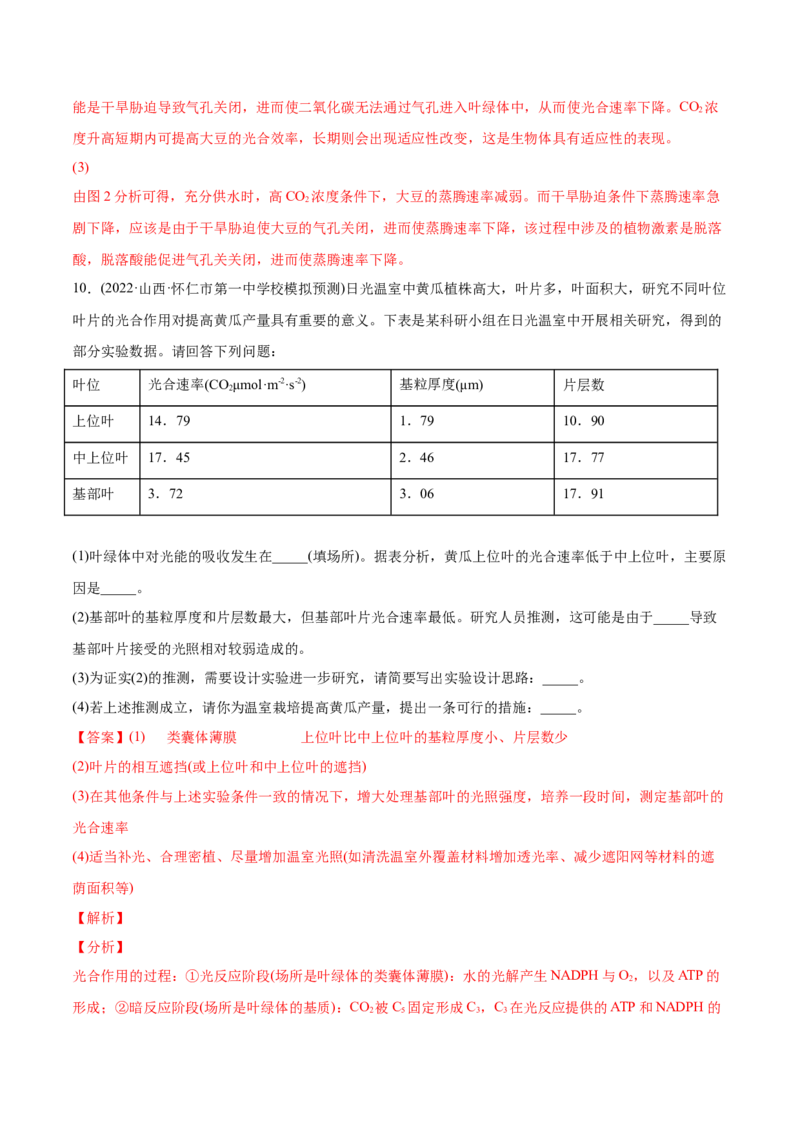 专题03光合作用和细胞呼吸-2022年高考真题和模拟题生物分专题训练（教师版含解析）_2024年新高考资料_1.2024一轮复习_赠2022年高考生物真题与模拟题分类