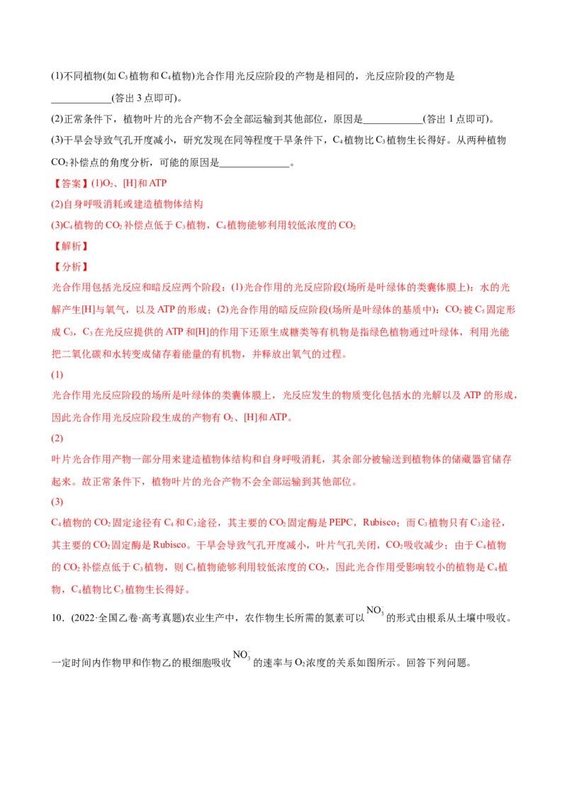 专题03光合作用和细胞呼吸-2022年高考真题和模拟题生物分专题训练（教师版含解析）_2024年新高考资料_1.2024一轮复习_赠2022年高考生物真题与模拟题分类