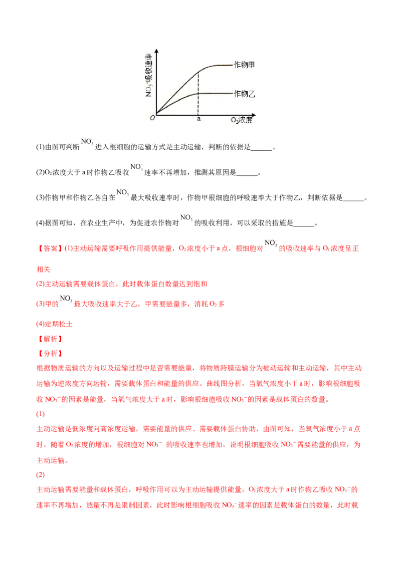 专题03光合作用和细胞呼吸-2022年高考真题和模拟题生物分专题训练（教师版含解析）_2024年新高考资料_1.2024一轮复习_赠2022年高考生物真题与模拟题分类