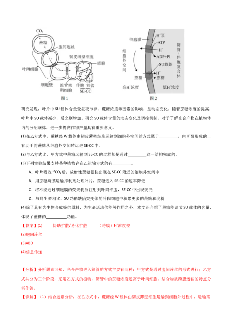 宝典03细胞的物质输入和输出（解析版）_2024年新高考资料_1.2024一轮复习_2024年高考生物一轮复习知识清单