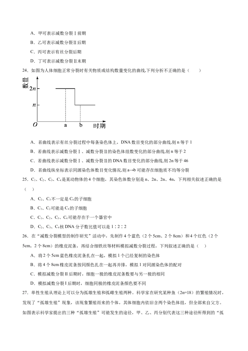 专题13减数分裂和受精作用（原卷版)_2024年新高考资料_3.2024专项复习_备战2024年高考生物一轮复习重难点专项突破_专题13减数分裂和受精作用