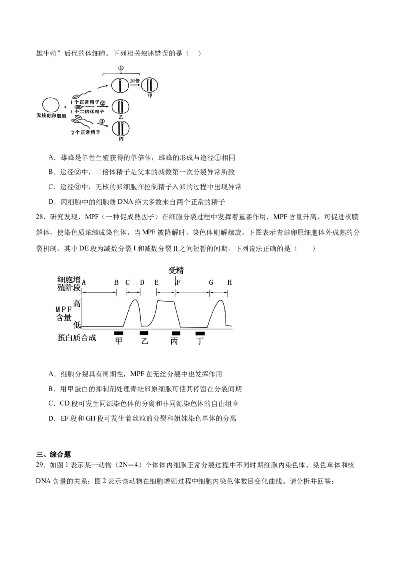专题13减数分裂和受精作用（原卷版)_2024年新高考资料_3.2024专项复习_备战2024年高考生物一轮复习重难点专项突破_专题13减数分裂和受精作用