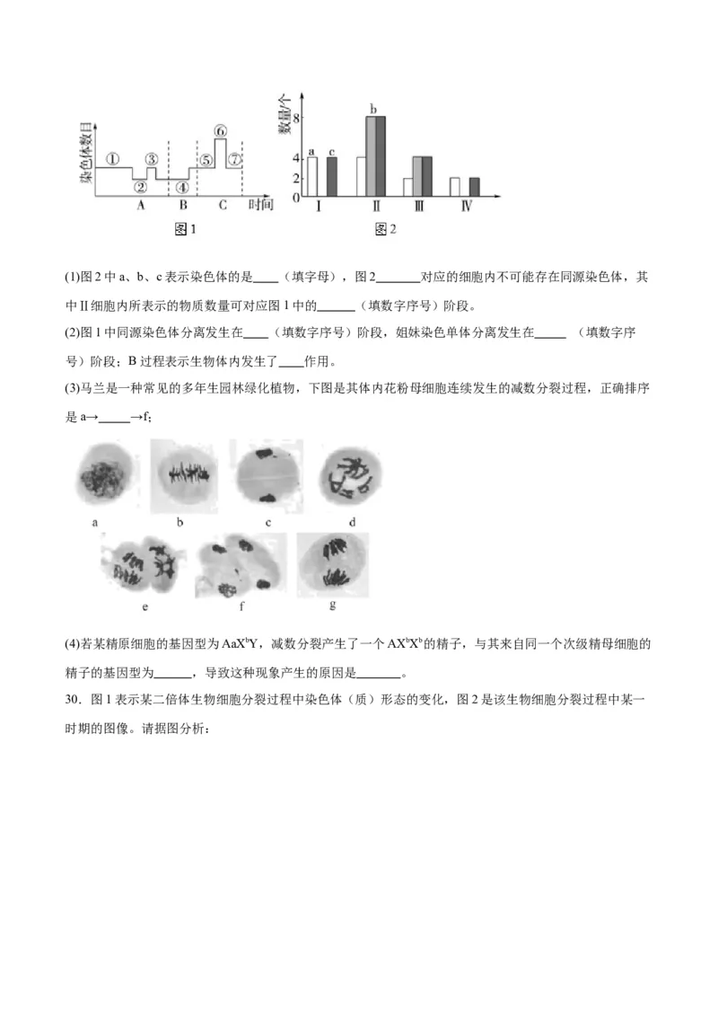 专题13减数分裂和受精作用（原卷版)_2024年新高考资料_3.2024专项复习_备战2024年高考生物一轮复习重难点专项突破_专题13减数分裂和受精作用