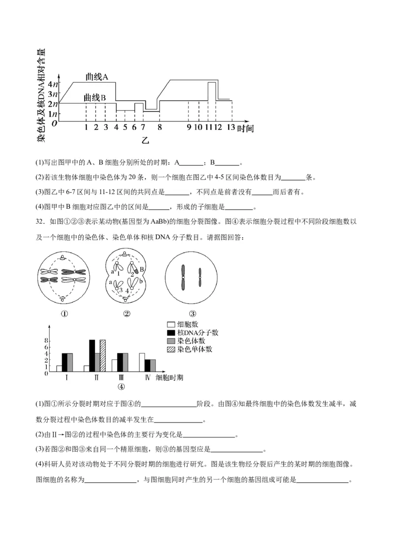 专题13减数分裂和受精作用（原卷版)_2024年新高考资料_3.2024专项复习_备战2024年高考生物一轮复习重难点专项突破_专题13减数分裂和受精作用