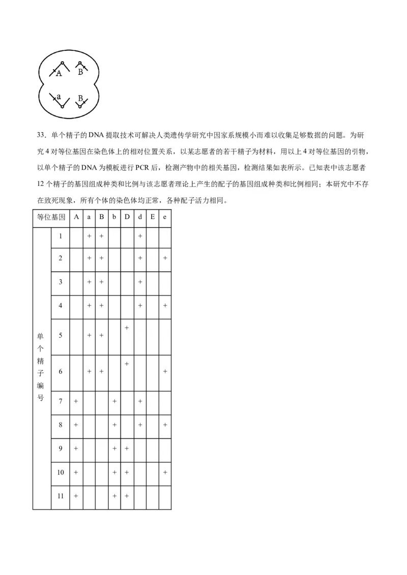 专题13减数分裂和受精作用（原卷版)_2024年新高考资料_3.2024专项复习_备战2024年高考生物一轮复习重难点专项突破_专题13减数分裂和受精作用