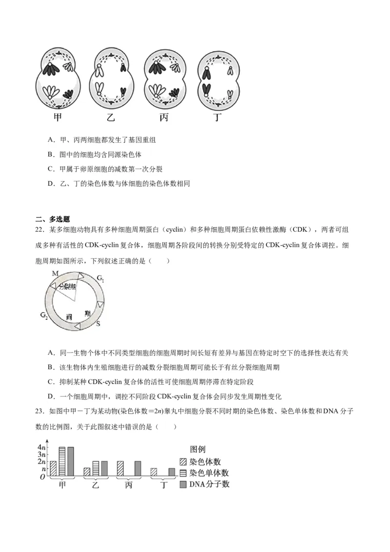 专题13减数分裂和受精作用（原卷版)_2024年新高考资料_3.2024专项复习_备战2024年高考生物一轮复习重难点专项突破_专题13减数分裂和受精作用