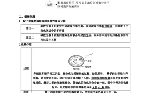 专题13减数分裂和受精作用（原卷版)_2024年新高考资料_3.2024专项复习_备战2024年高考生物一轮复习重难点专项突破_专题13减数分裂和受精作用