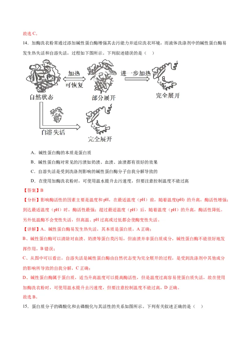 专题8酶和ATP（解析版)_2024年新高考资料_3.2024专项复习_备战2024年高考生物一轮复习重难点专项突破_专题08酶和ATP-备战2024年高考生物一轮复习重难点专项突破