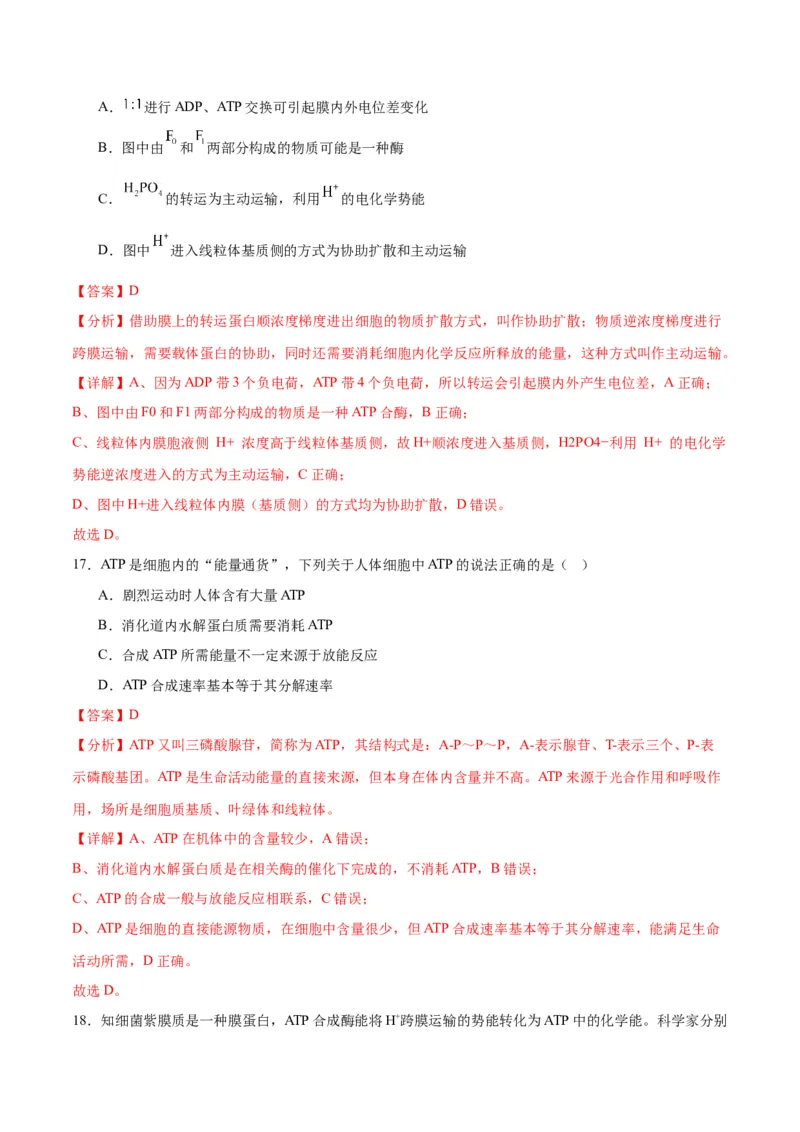 专题8酶和ATP（解析版)_2024年新高考资料_3.2024专项复习_备战2024年高考生物一轮复习重难点专项突破_专题08酶和ATP-备战2024年高考生物一轮复习重难点专项突破