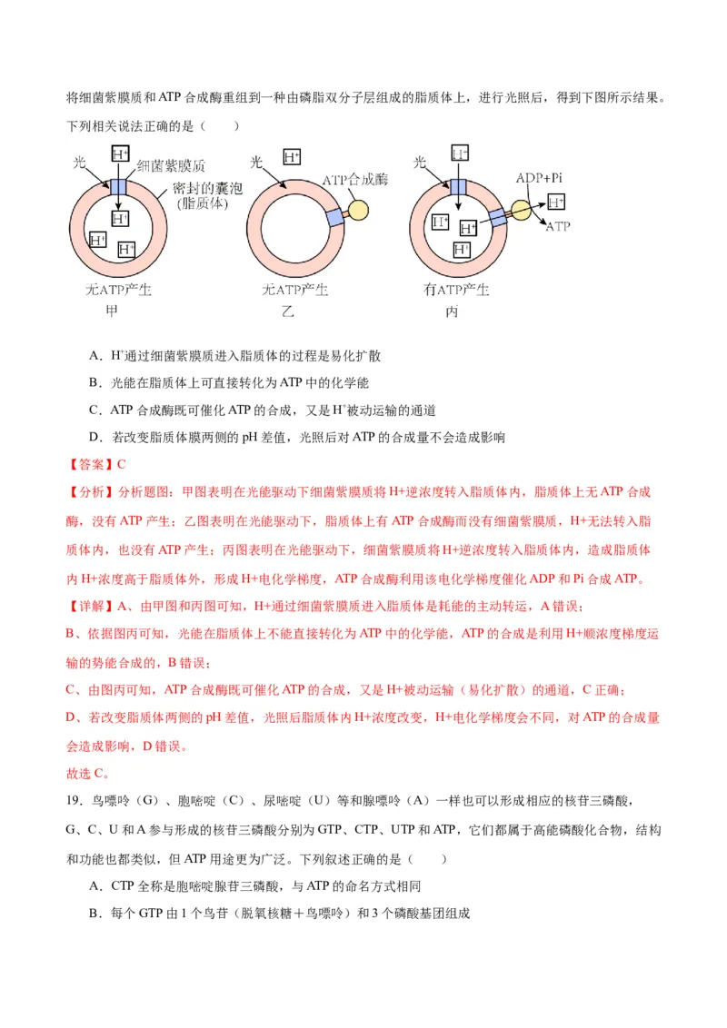 专题8酶和ATP（解析版)_2024年新高考资料_3.2024专项复习_备战2024年高考生物一轮复习重难点专项突破_专题08酶和ATP-备战2024年高考生物一轮复习重难点专项突破