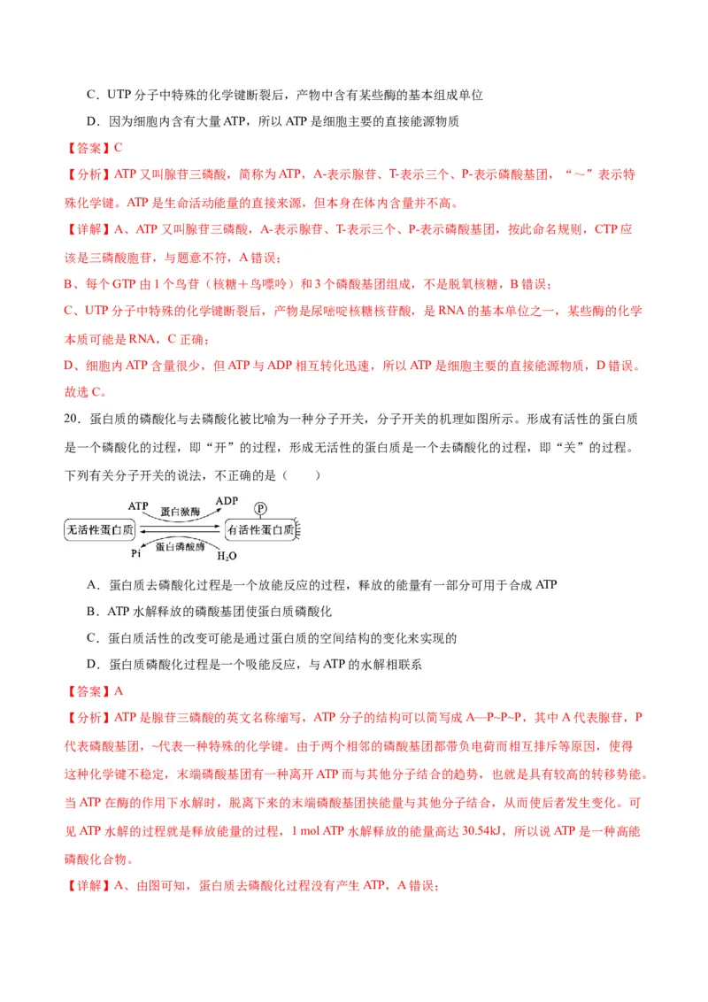 专题8酶和ATP（解析版)_2024年新高考资料_3.2024专项复习_备战2024年高考生物一轮复习重难点专项突破_专题08酶和ATP-备战2024年高考生物一轮复习重难点专项突破