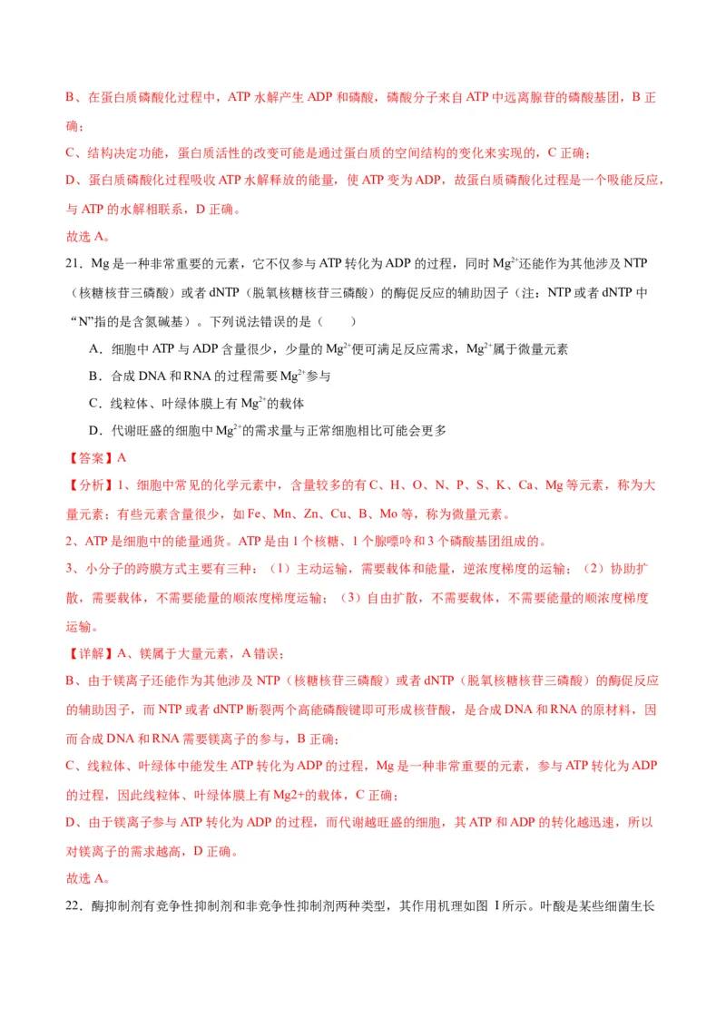 专题8酶和ATP（解析版)_2024年新高考资料_3.2024专项复习_备战2024年高考生物一轮复习重难点专项突破_专题08酶和ATP-备战2024年高考生物一轮复习重难点专项突破