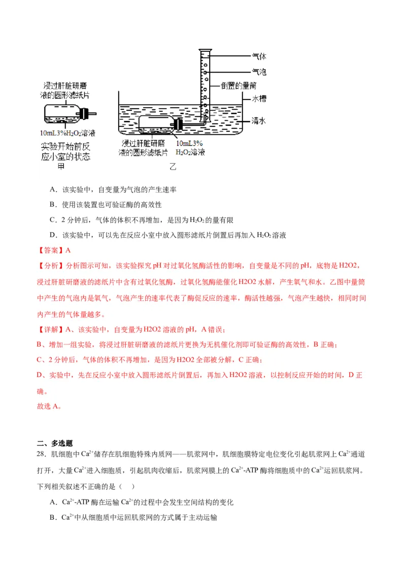 专题8酶和ATP（解析版)_2024年新高考资料_3.2024专项复习_备战2024年高考生物一轮复习重难点专项突破_专题08酶和ATP-备战2024年高考生物一轮复习重难点专项突破