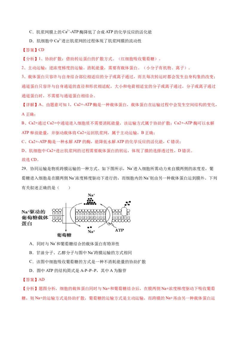 专题8酶和ATP（解析版)_2024年新高考资料_3.2024专项复习_备战2024年高考生物一轮复习重难点专项突破_专题08酶和ATP-备战2024年高考生物一轮复习重难点专项突破