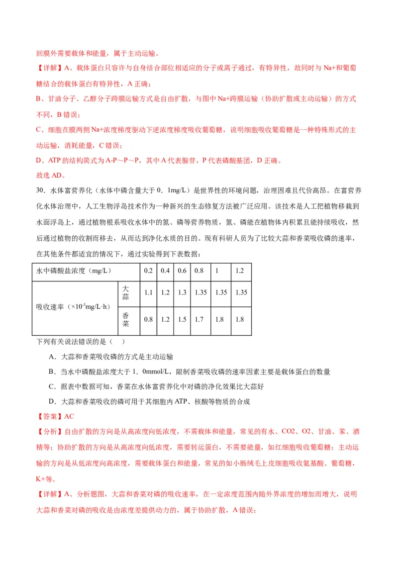专题8酶和ATP（解析版)_2024年新高考资料_3.2024专项复习_备战2024年高考生物一轮复习重难点专项突破_专题08酶和ATP-备战2024年高考生物一轮复习重难点专项突破