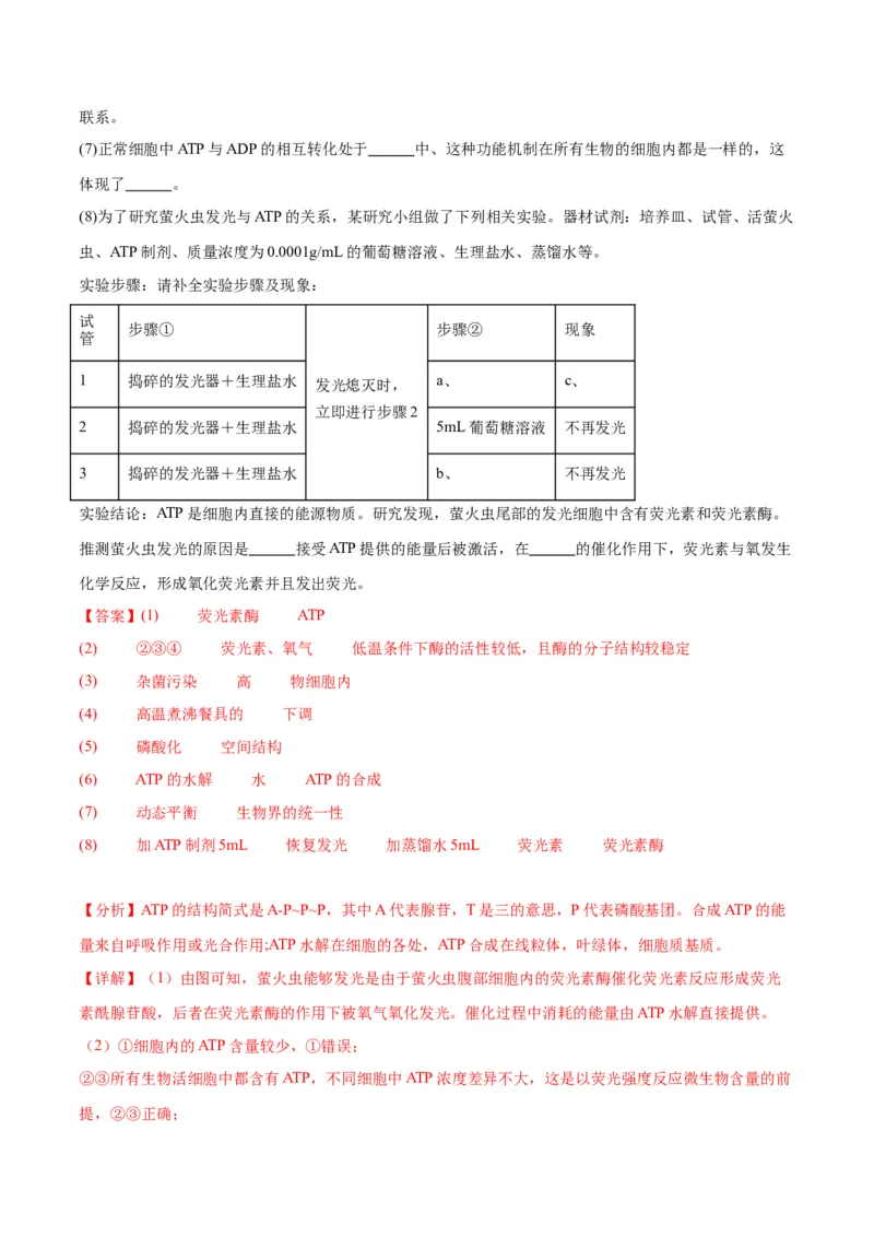 专题8酶和ATP（解析版)_2024年新高考资料_3.2024专项复习_备战2024年高考生物一轮复习重难点专项突破_专题08酶和ATP-备战2024年高考生物一轮复习重难点专项突破