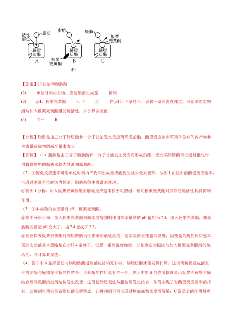 专题8酶和ATP（解析版)_2024年新高考资料_3.2024专项复习_备战2024年高考生物一轮复习重难点专项突破_专题08酶和ATP-备战2024年高考生物一轮复习重难点专项突破