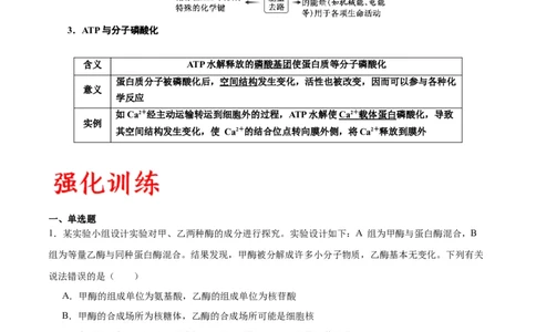 专题8酶和ATP（解析版)_2024年新高考资料_3.2024专项复习_备战2024年高考生物一轮复习重难点专项突破_专题08酶和ATP-备战2024年高考生物一轮复习重难点专项突破