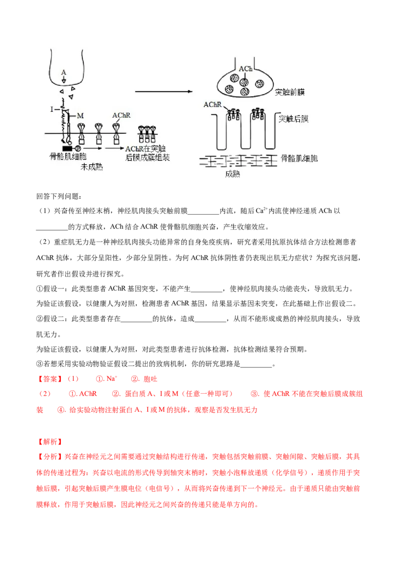 押广东卷第18题生命活动的调节（解析版）_2024年新高考资料_5.2024三轮冲刺_备战2024年高考生物临考题号押题（广东专用）323137816
