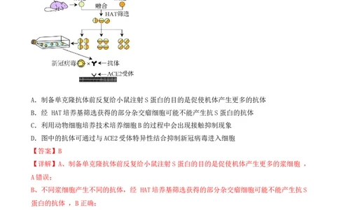 专题17动物细胞工程和胚胎工程（解析版）_2024年新高考资料_3.2024专项复习_备战2024年高考生物一轮复习重难点突破讲解与训练（新教材）