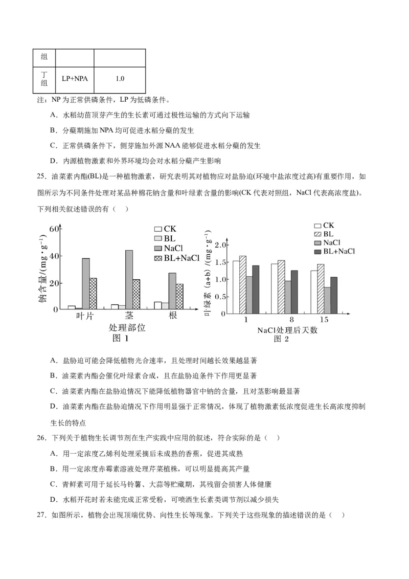 专题32植物生命活动调节（原卷版)_2024年新高考资料_3.2024专项复习_备战2024年高考生物一轮复习重难点专项突破_专题32植物生命活动调节-备战2024年高考生物一轮复习重难点专项突破