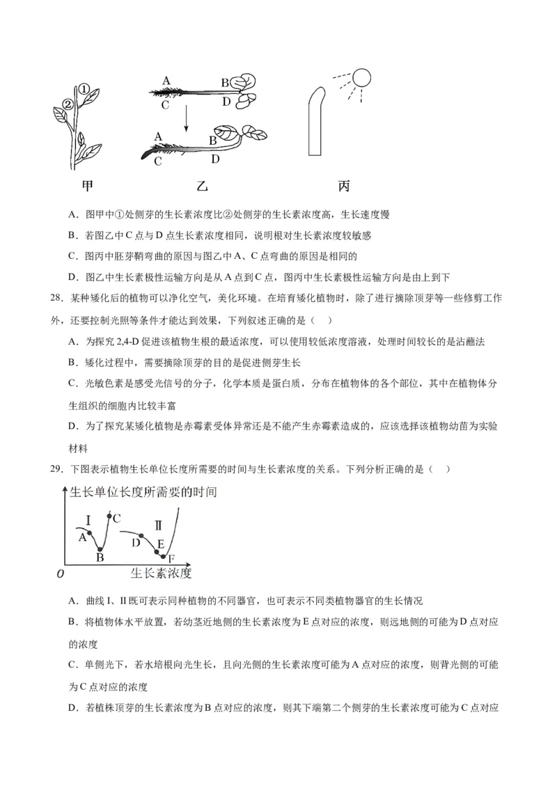专题32植物生命活动调节（原卷版)_2024年新高考资料_3.2024专项复习_备战2024年高考生物一轮复习重难点专项突破_专题32植物生命活动调节-备战2024年高考生物一轮复习重难点专项突破