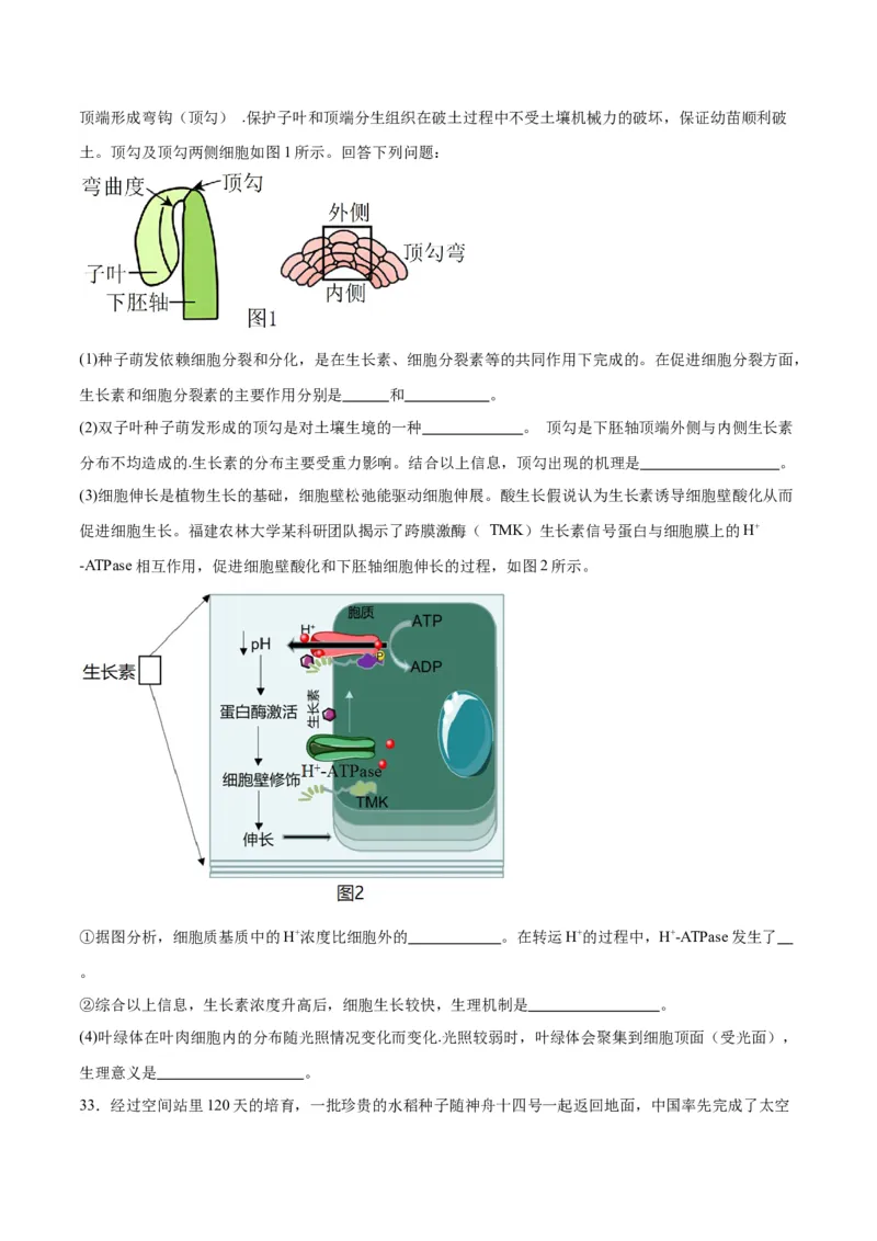 专题32植物生命活动调节（原卷版)_2024年新高考资料_3.2024专项复习_备战2024年高考生物一轮复习重难点专项突破_专题32植物生命活动调节-备战2024年高考生物一轮复习重难点专项突破