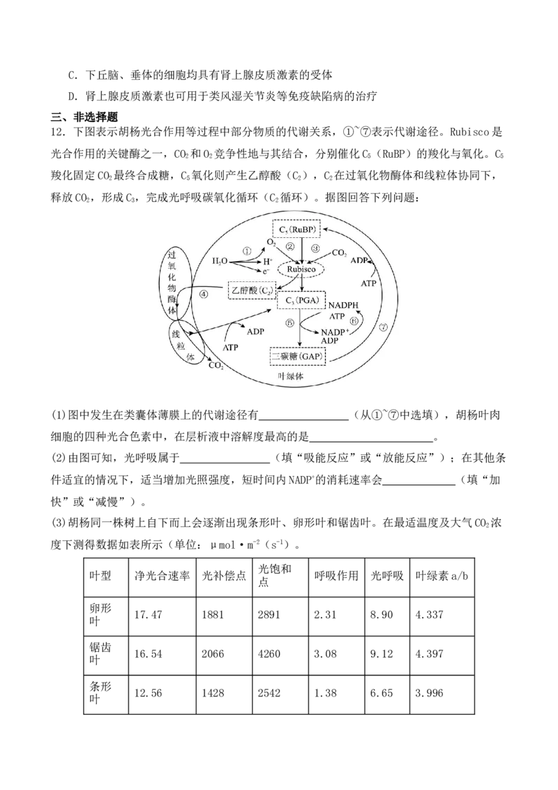 二轮题型突破卷（2）（原卷版）_2024年新高考资料_2.2024二轮复习_2024年高考生物二轮热点题型归纳与变式演练（新高考通用）