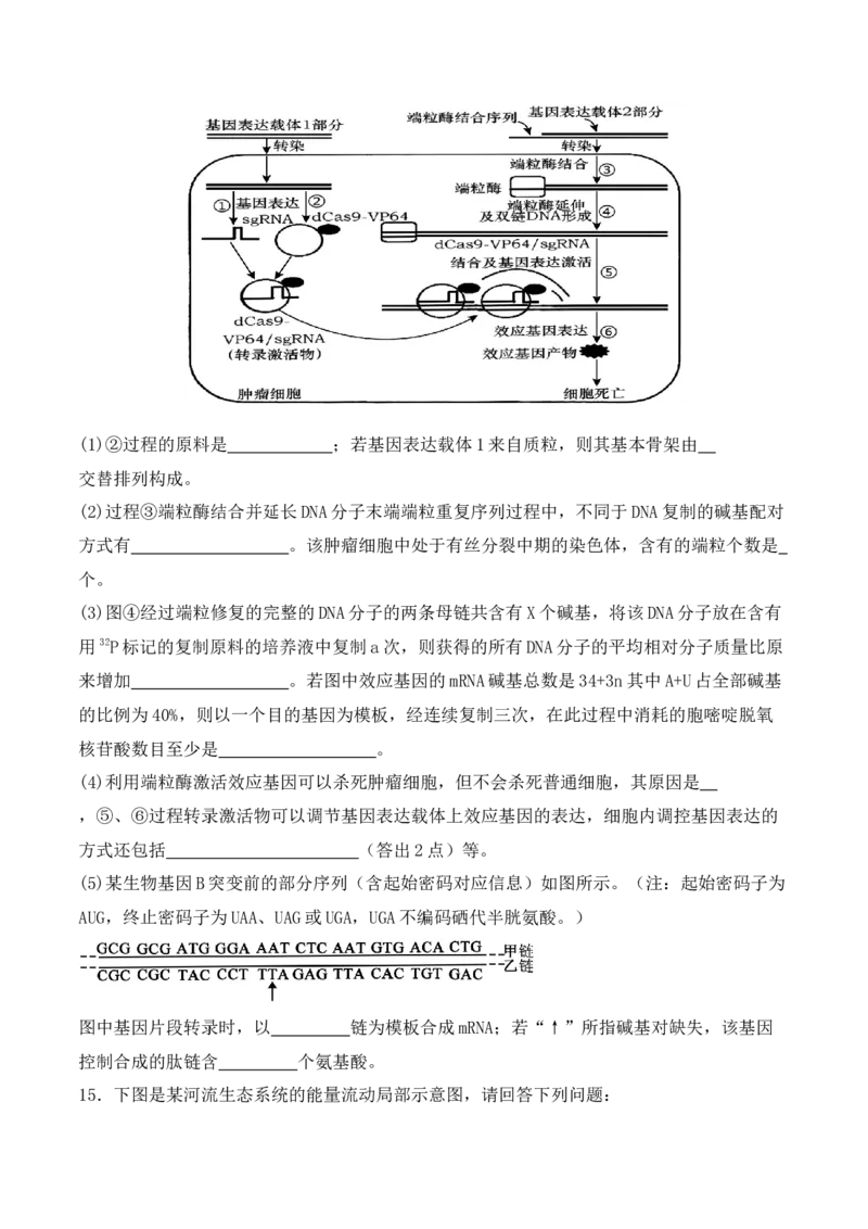 二轮题型突破卷（2）（原卷版）_2024年新高考资料_2.2024二轮复习_2024年高考生物二轮热点题型归纳与变式演练（新高考通用）