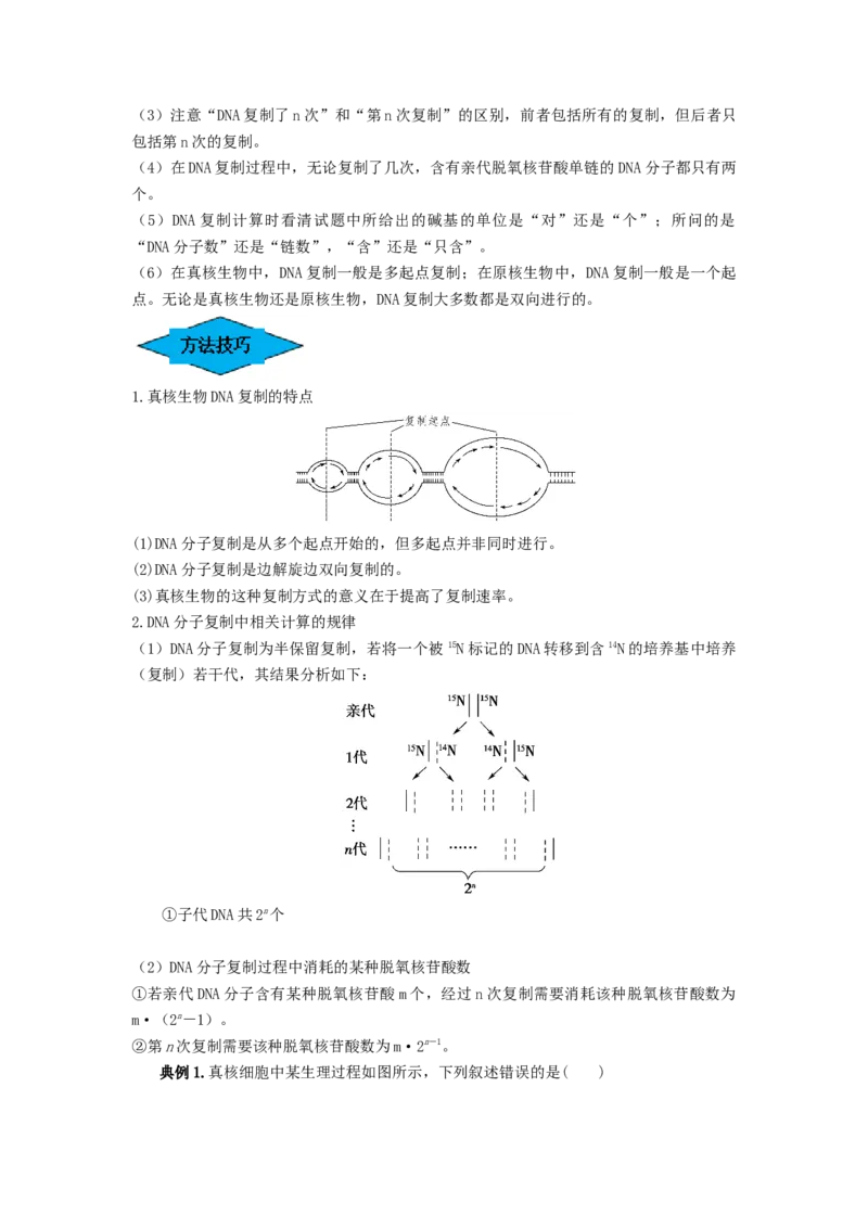 专题18DNA分子的结构、复制及基因的本质（串讲）（原卷版）_2024年新高考资料_1.2024一轮复习_备战2024年高考生物一轮复习串讲精练（新高考专用）