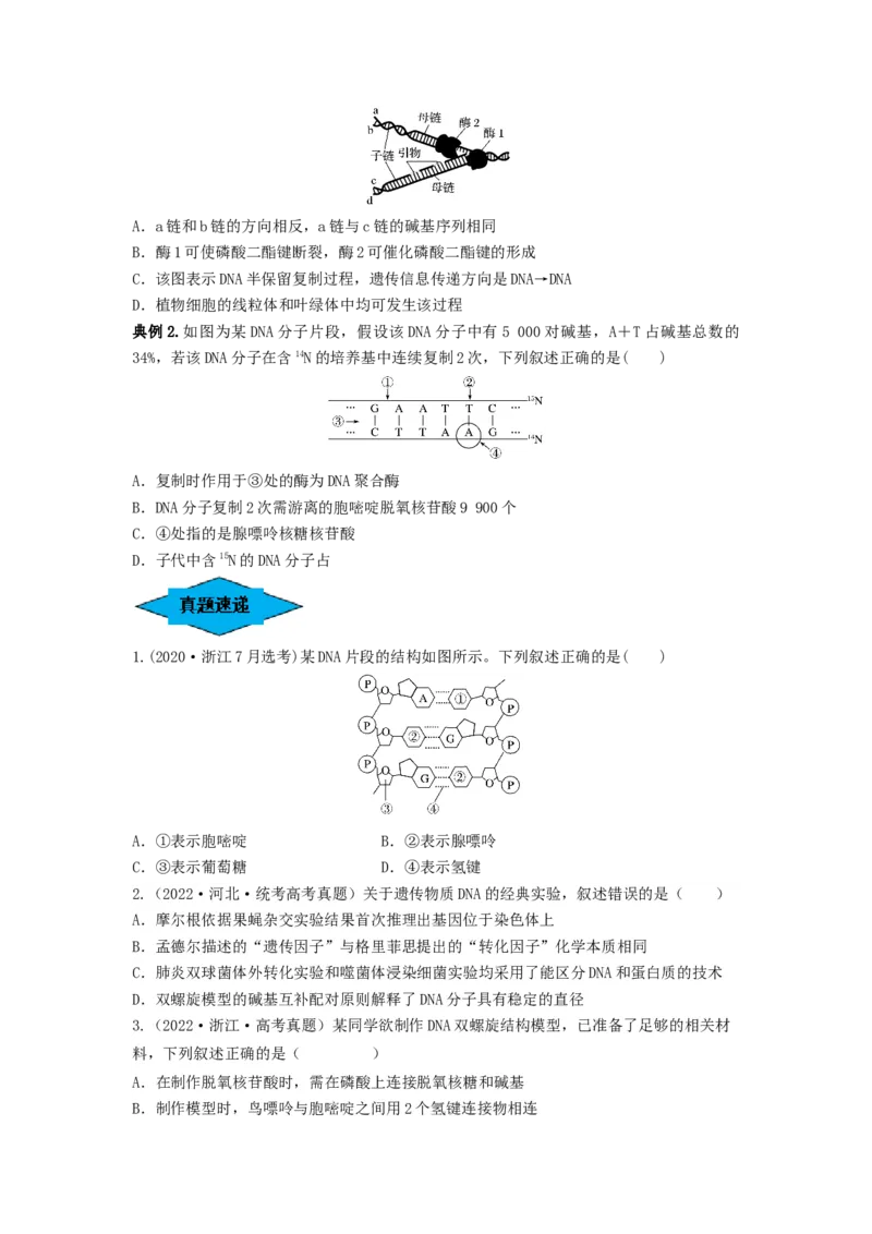 专题18DNA分子的结构、复制及基因的本质（串讲）（原卷版）_2024年新高考资料_1.2024一轮复习_备战2024年高考生物一轮复习串讲精练（新高考专用）