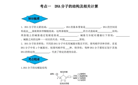专题18DNA分子的结构、复制及基因的本质（串讲）（原卷版）_2024年新高考资料_1.2024一轮复习_备战2024年高考生物一轮复习串讲精练（新高考专用）