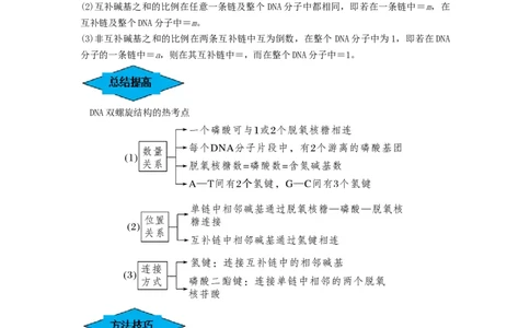 专题18DNA分子的结构、复制及基因的本质（串讲）（原卷版）_2024年新高考资料_1.2024一轮复习_备战2024年高考生物一轮复习串讲精练（新高考专用）
