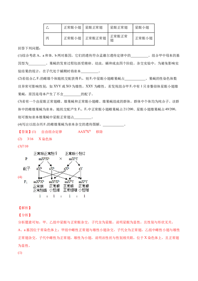 专题07伴性遗传和人类遗传病-2022年高考真题和模拟题生物分专题训练（教师版含解析）_2024年新高考资料_1.2024一轮复习_赠2022年高考生物真题与模拟题分类