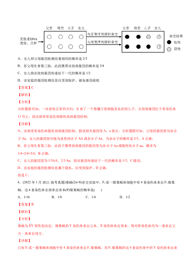 专题07伴性遗传和人类遗传病-2022年高考真题和模拟题生物分专题训练（教师版含解析）_2024年新高考资料_1.2024一轮复习_赠2022年高考生物真题与模拟题分类
