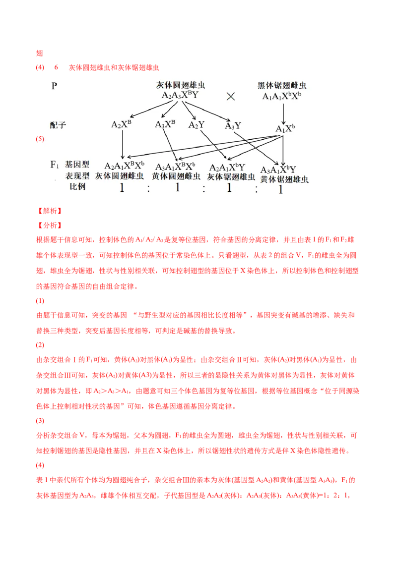专题07伴性遗传和人类遗传病-2022年高考真题和模拟题生物分专题训练（教师版含解析）_2024年新高考资料_1.2024一轮复习_赠2022年高考生物真题与模拟题分类