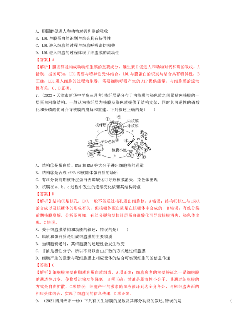 专题04细胞膜和细胞核（精练）（解析版）_2024年新高考资料_1.2024一轮复习_备战2024年高考生物一轮复习串讲精练（新高考专用）