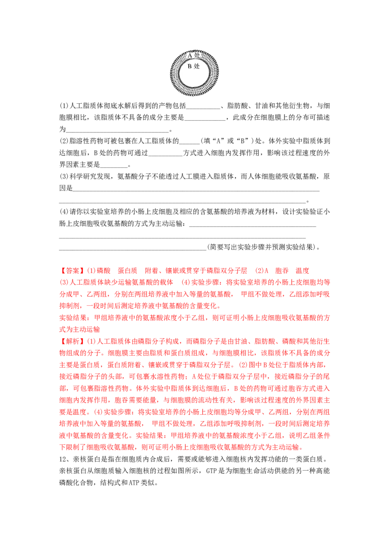 专题04细胞膜和细胞核（精练）（解析版）_2024年新高考资料_1.2024一轮复习_备战2024年高考生物一轮复习串讲精练（新高考专用）