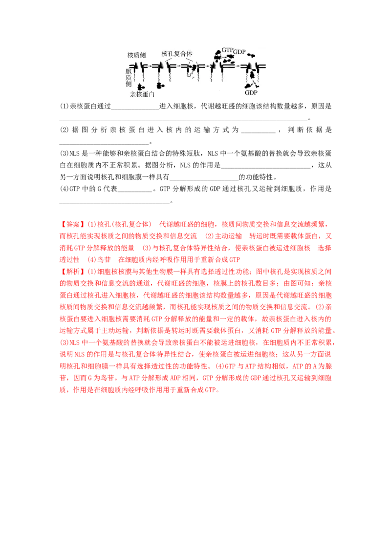 专题04细胞膜和细胞核（精练）（解析版）_2024年新高考资料_1.2024一轮复习_备战2024年高考生物一轮复习串讲精练（新高考专用）