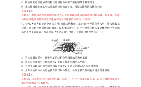 专题04细胞膜和细胞核（精练）（解析版）_2024年新高考资料_1.2024一轮复习_备战2024年高考生物一轮复习串讲精练（新高考专用）